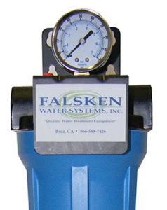 Falsken